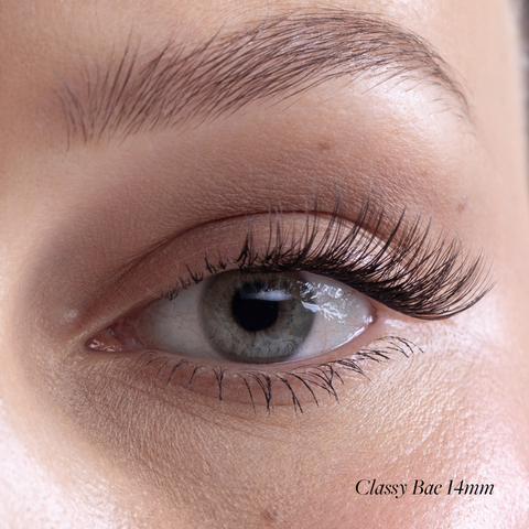 Custom Fast Lash Starter Kit 