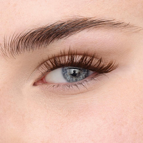 Fast Lash Cluster Starter kit  - (Brown Collection)